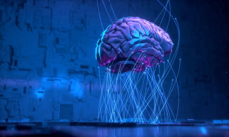 宁陵县信创改造：你的开发团队为何必须具备多样性？